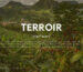 The word 'Terroir' displayed in elegant font over a scenic background of a lush coffee garden, featuring green coffee trees under soft natural light, representing the origin and environment that shape coffee flavor.